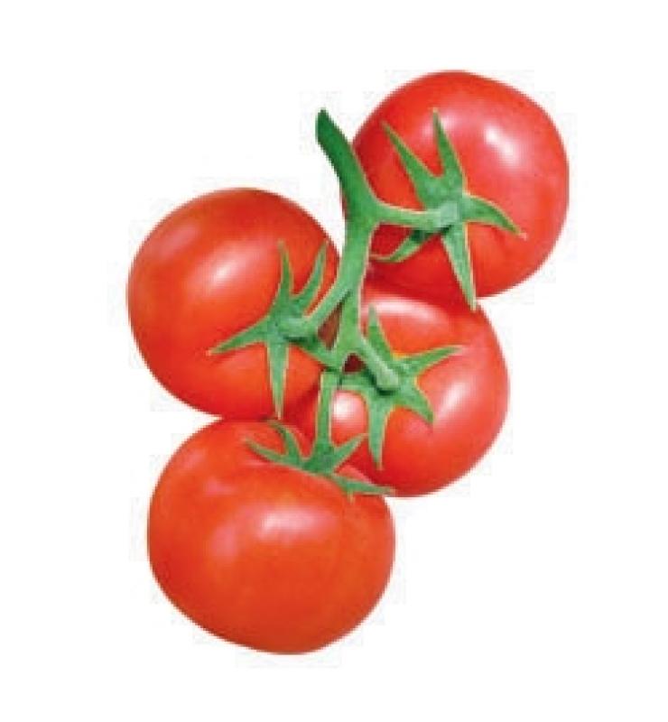 大紅果 凱美瑞二號