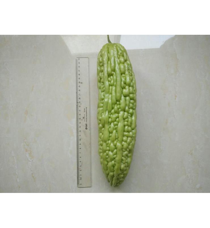 苦瓜 玉華