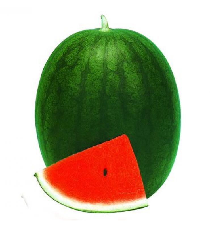 watermelon fubao