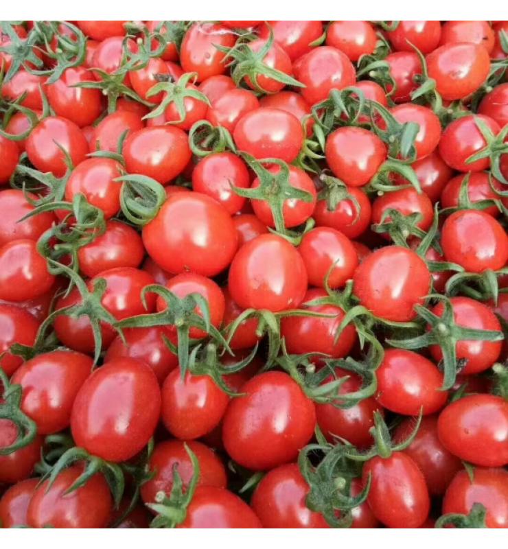 小紅果 佳麗3000